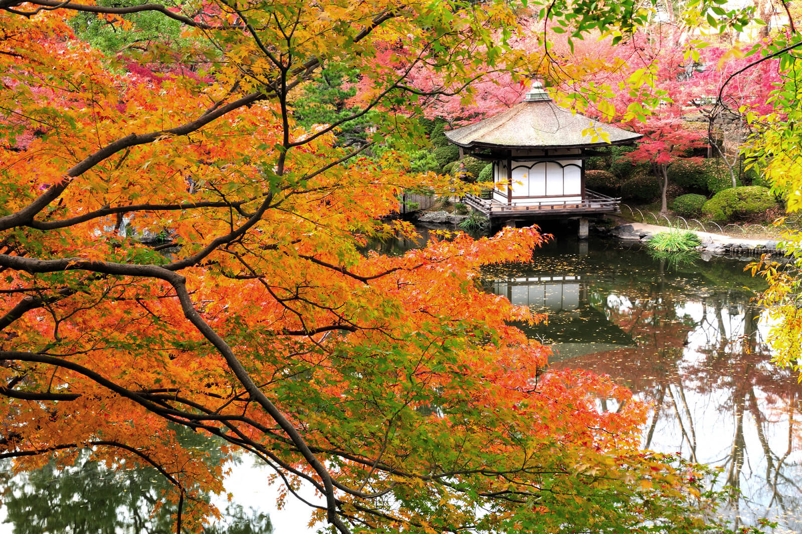 西之丸庭園（紅葉渓庭園）の画像